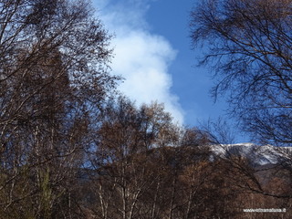 nti Sartorius-14-11-2017 12-02-24